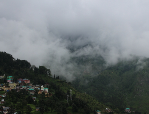 Dharamsala, un bout de Tibet en Inde