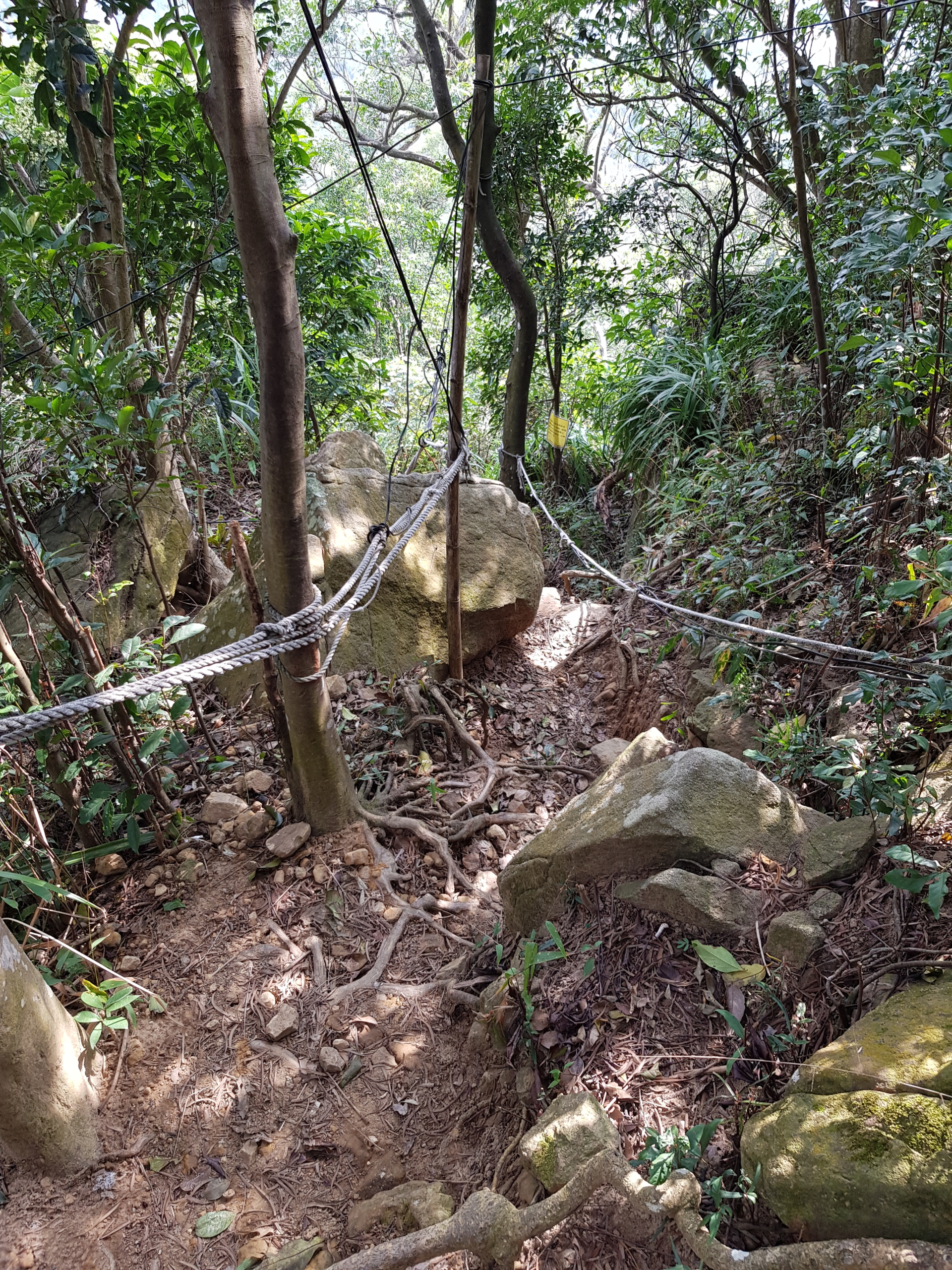 Chemin de randonnée à Jiantanshan