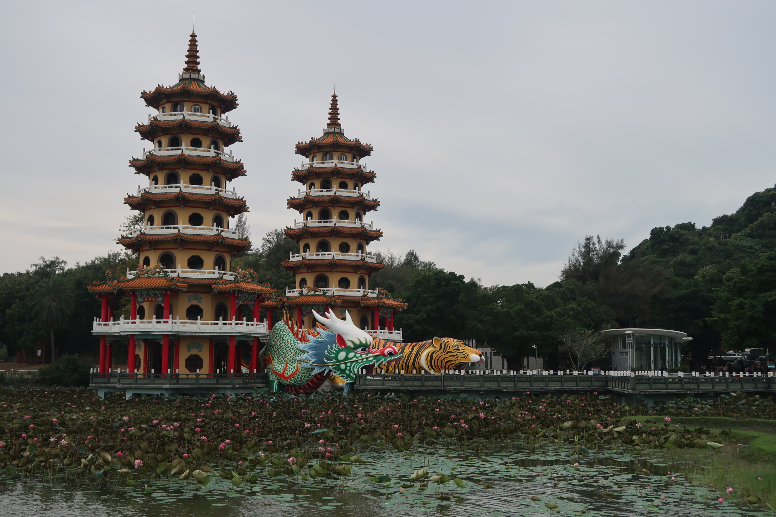 Lotus pond